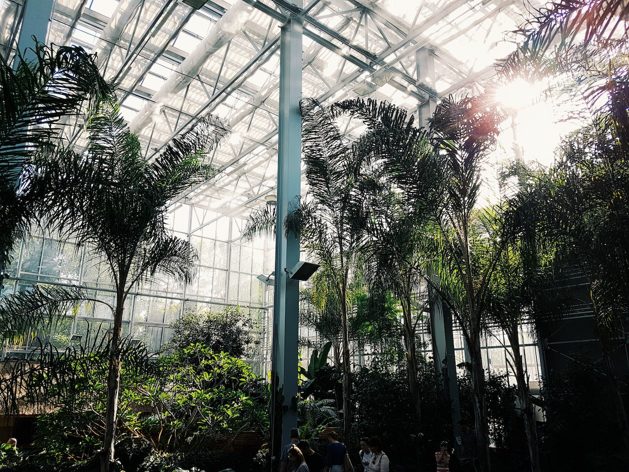 You are currently viewing Garfield Conservatory – Chicago